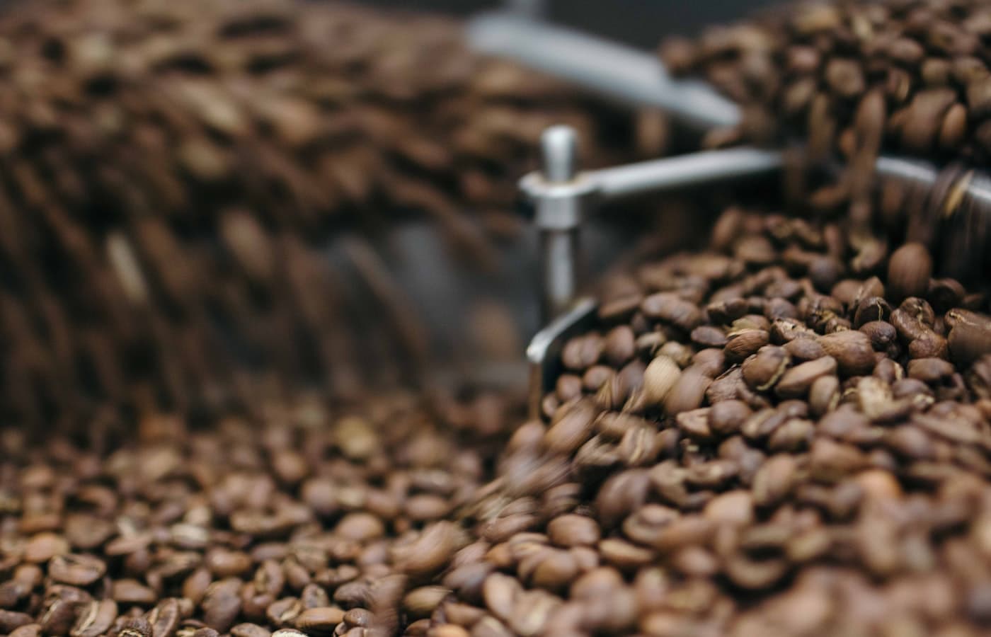 Driftwood Roasters coffee beans being poured at the roastery